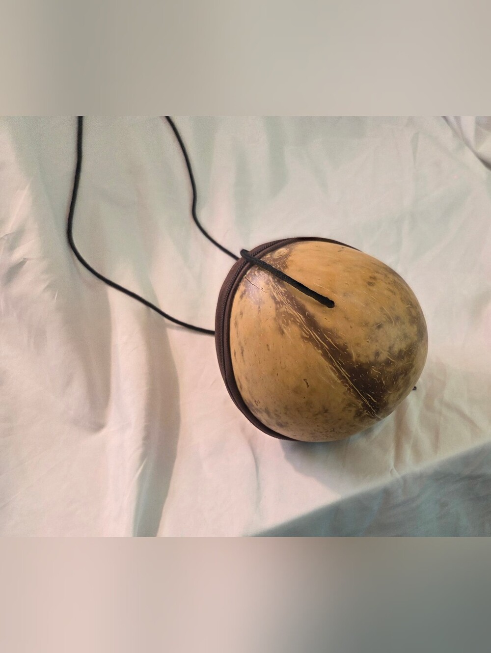 Vintage Hawaiian Coconut Bag